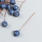 Декор для творчества "Ягодка - голубика" синий d=1 см набор 30шт (комплект 2 шт) - фото 23286500