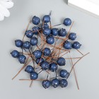 Декор для творчества "Ягодка - голубика" синий d=1 см набор 30шт (комплект 2 шт) - фото 23286501