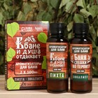 Набор ароматизаторов «В Бане и душа отдыхает», в подарочной коробке, пихта, эвкалипт, 2 шт. по 100 мл - Фото 1