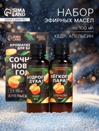 Новогодний набор ароматизаторов «Сочного Нового Года», в подарочной коробке, апельсин, кедр, 2 шт. по 100 мл - Фото 1