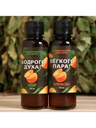 Новогодний набор ароматизаторов «Сочного Нового Года», в подарочной коробке, апельсин, кедр, 2 шт. по 100 мл - Фото 4