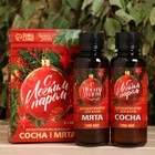 Набор ароматизаторов 2 шт по 100 мл "С легким паром", сосна, мята - Фото 1