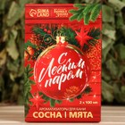 Набор ароматизаторов 2 шт по 100 мл "С легким паром", сосна, мята - Фото 2