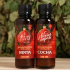 Набор ароматизаторов 2 шт по 100 мл "С легким паром", сосна, мята - Фото 3