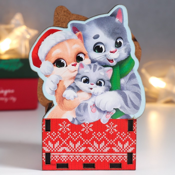 Органайзер 