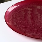Блюдо Crispy, d=32 см, цвет бордовый - фото 4361879