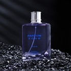 Туалетная вода мужская PARFUM ZONE, 100 мл 9236249 - фото 2399837