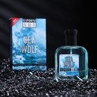 Туалетная вода мужская SEA WOLF, 100 мл 9236271 - фото 9982154