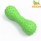 Игрушка пищащая для собак из латекса «Кость», 12 см, зелёная - Фото 1