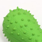 Игрушка пищащая для собак из латекса "Кость", 12 см, зелёная - Фото 3