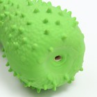 Игрушка пищащая для собак из латекса "Кость", 12 см, зелёная - фото 6698215