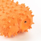 Игрушка пищащая для собак из латекса "Кость изогнутая", 14 см, оранжевая - фото 6698226
