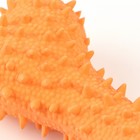 Игрушка пищащая для собак из латекса "Кость изогнутая", 14 см, оранжевая - фото 6698227