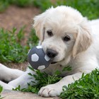 Игрушка пищащая для собак из латекса "Футбол", 7 см, серая - фото 9384472