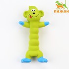 Игрушка пищащая для собак из латекса «Обезьянка», 21 см, зелёная - Фото 1