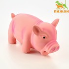 Игрушка хрюкающая для собак из латекса "Хрюшка", 16 см, розовая - фото 9483068