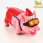 Игрушка хрюкающая для собак из латекса "Новогодний свин", 21 см 7883237 - фото 9982858