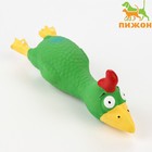 Игрушка пищащая для собак из латекса «Петух», 18 см, зелёная - Фото 1