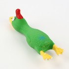 Игрушка пищащая для собак из латекса "Петух", 18 см, зелёная - фото 9384487
