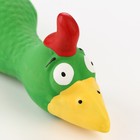 Игрушка пищащая для собак из латекса «Петух», 18 см, зелёная - Фото 4