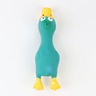 Игрушка для собак «Утка», 17 см, пищащая, латекс, синяя - Фото 2