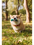 Игрушка для собак «Утка», 17 см, пищащая, латекс, синяя - Фото 6