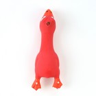 Игрушка пищащая для собак из латекса "Петух", 18 см, красная - фото 9483074