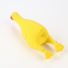 Игрушка пищащая для собак из латекса "Гусь", 19 см, жёлтая - Фото 3