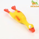 Игрушка пищащая для собак из латекса «Утка», 23 см, жёлтая/оранжевая - Фото 1