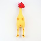 Игрушка пищащая для собак из латекса "Петух", 41 см, светло-жёлтая/красная - Фото 2