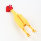 Игрушка пищащая для собак из латекса "Петух", 41 см, светло-жёлтая/красная - фото 9483088