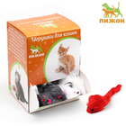 Игрушка для кошек "Мышь малая", 5 см,  фасовка 60 шт, микс цветов - фото 319057983