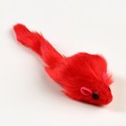 Игрушка для кошек «Мышь малая», 5 см, фасовка 60 шт., цвет МИКС - Фото 3