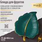 Блюдо для фруктов Доляна «Тропический лист», 26×20,5 см, цвет зелёный - Фото 1