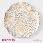 Блюдо для фруктов Доляна «Кувшинка», 20×19 см, цвет белый - фото 5146843
