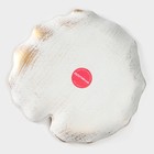 Блюдо для фруктов Доляна «Кувшинка», 20×19 см, цвет белый - фото 4361905