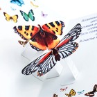 Открытка сложнотехническая А5 "С Днем Рождения!" котик, бабочки 9282053