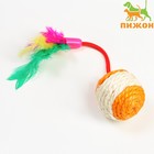 Шар-погремушка сизалевый с перьями, 4.5 см, оранжевый - фото 319058989