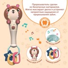 Музыкальная игрушка «Милый мишка», звук, свет, цвет оранжево-коричневый - Фото 4
