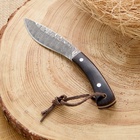 Нож метательный «Танто», 21 см, клинок 110 мм/1.4 мм, с рисунком - Фото 14