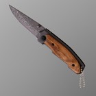 Нож складной "Скат" 15,3см, клинок 63мм/2,8мм, рукоять дерево - фото 320873843