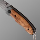 Нож складной "Скат" 15,3см, клинок 63мм/2,8мм, рукоять дерево - Фото 2