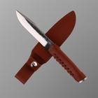 Нож охотничий "Караванщик" 23,3см, клинок 123мм/5,1мм, коричневая кожа - фото 11893559