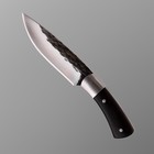 Нож охотничий "Вистан" 21,5см, клинок 120мм/4,9мм, коричневый - Фото 2
