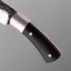 Нож охотничий "Вистан" 21,5см, клинок 120мм/4,9мм, коричневый - Фото 3