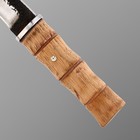 Нож туристический "Бамбук" 24см, клинок 127мм/4мм - Фото 3