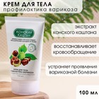 Крем Конский каштан, 100 мл, для профилактики варикоза 7760735 - фото 9985023