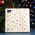 Салфеткии бумажные новогодние «Созвездие», 3 слоя, 33x33 см, 20 шт - Фото 4