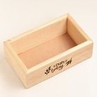 Кашпо деревянное натуральное с гравировкой "ENJOY today" 25х15х9 см - фото 40289142