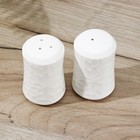 Набор фарфоровый для специй Доляна «Эстет. Кракле», 2 предмета: солонка, перечница, цвет белый - фото 25365231